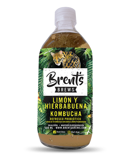 Kombucha sabor limón y hierba buena